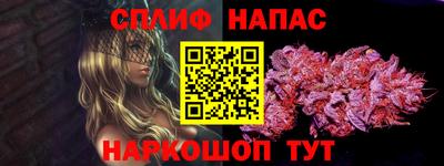 ешки Гай