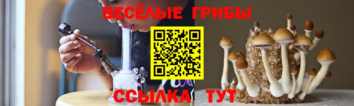 Псилоцибиновые грибы MAGIC MUSHROOMS  Псилоцибиновые грибы Psilocybine cubensis  Вход с VPN  Дивногорск 